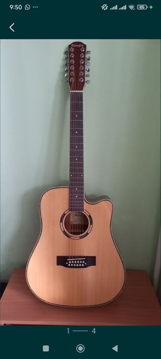 Двенадцати струнная классическая гитара.