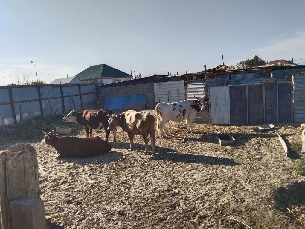 Продается  жилойдом