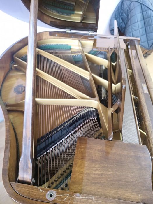 Роял.Акустичен роял. Пиано.