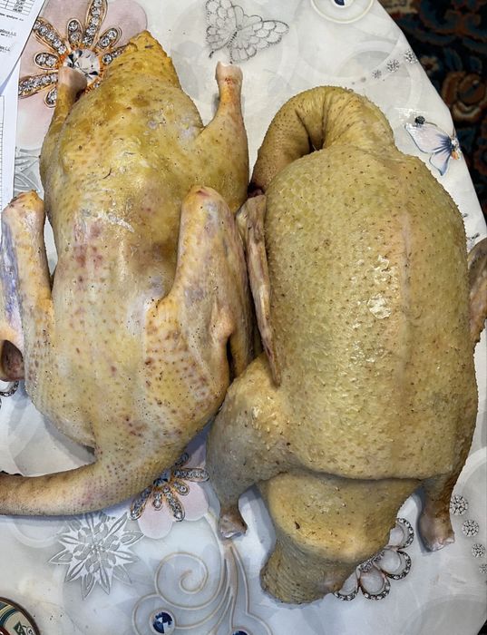 Продам индоуток