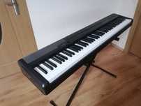 CASIO CDP-100 Pian digital PROFESIONAL polifonic orga electronică