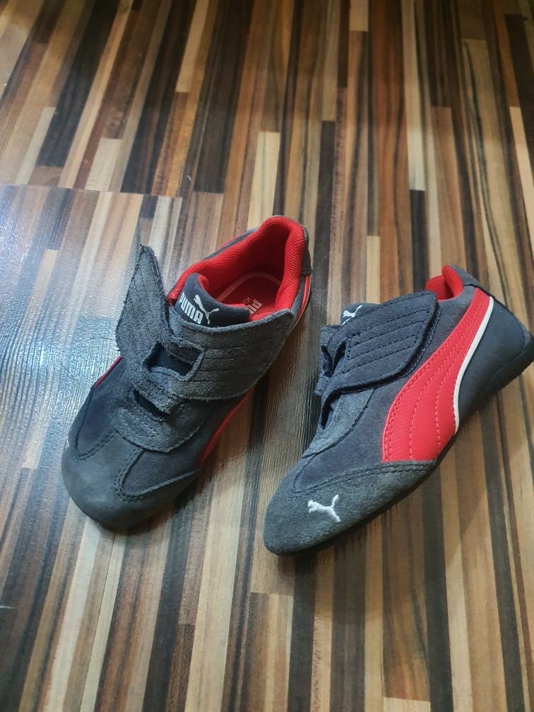 Puma           .