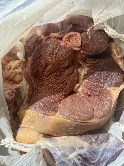 Мясо говядина молодняк