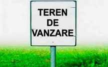 Teren de vânzare Luica