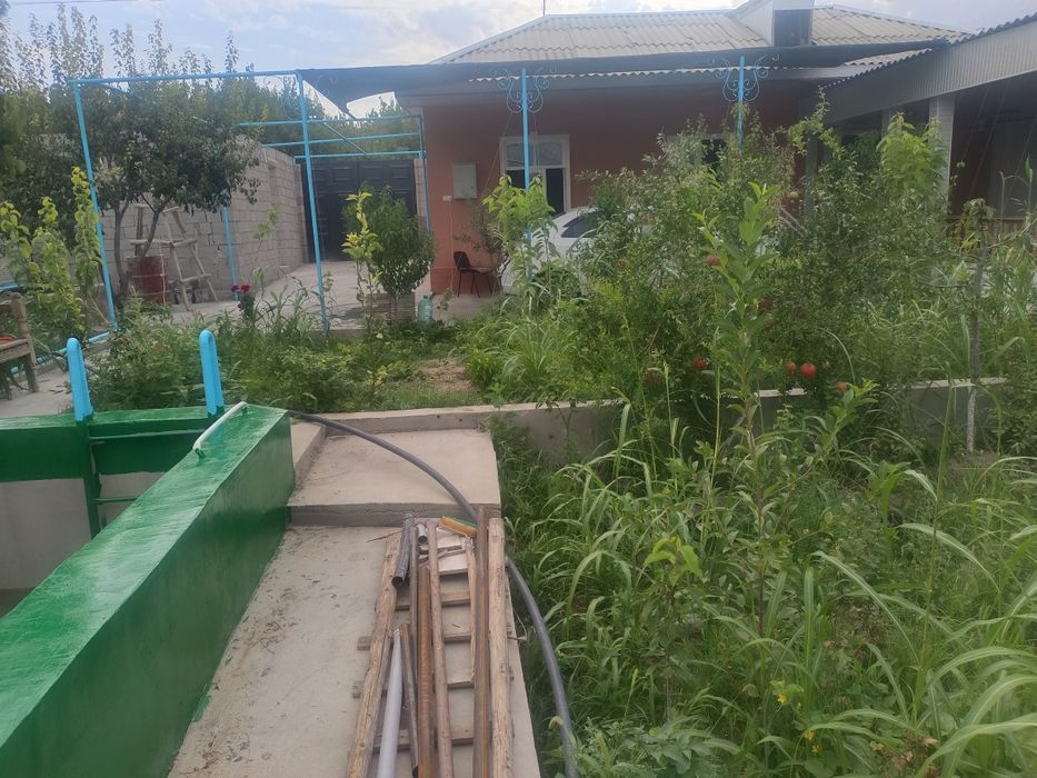 Дала ховли сотилади