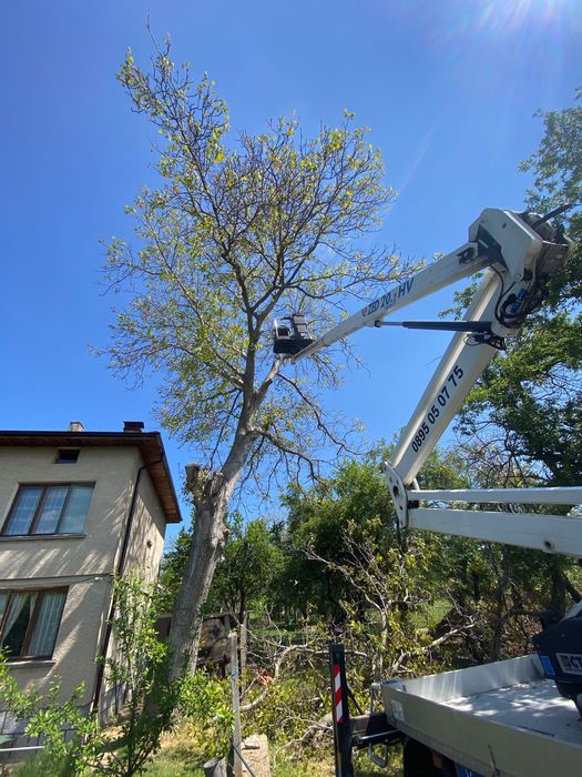 Автовишка под наем