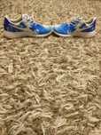 Adidasi originali Nike Roshe Run Santa Monica