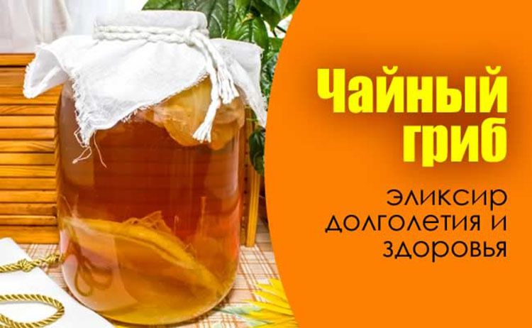 Продам чай гриб