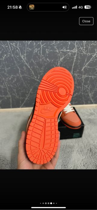 Nike dunk SB lobster orange