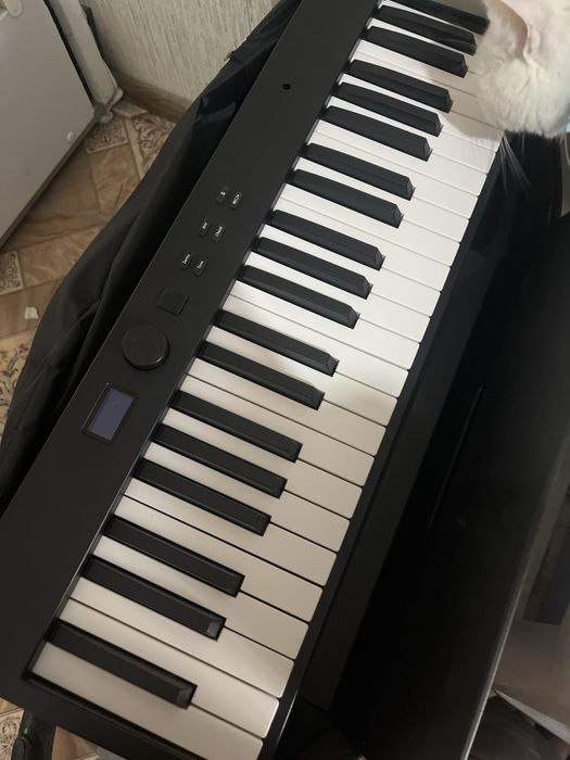 Пианино продаю срочно!