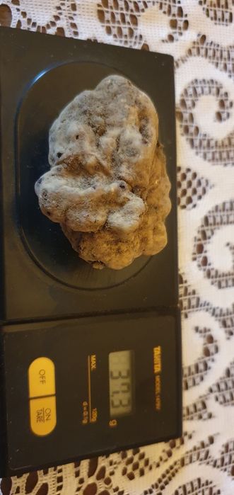 Продавам бял трюфел-Magnatum Pico за консумация