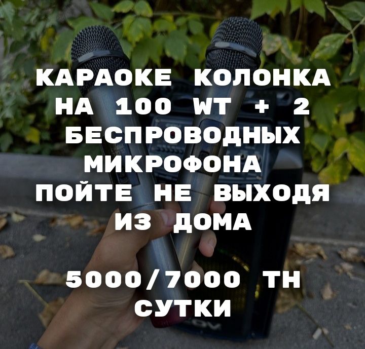 Аренда / прокат / Караоке колонок с микрофонами для вечеринок, итд
