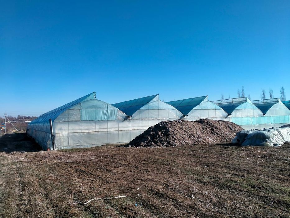 Продается теплица