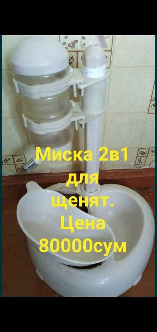 Миска для собак.