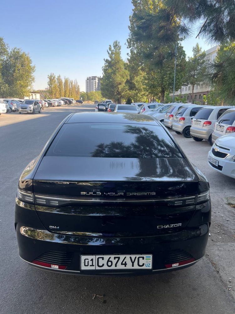 Byd chazor qora 2024