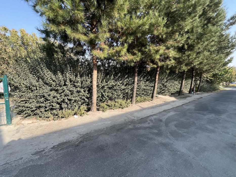 Yangi hayot zur lokatsiya 3 sotok 10/30