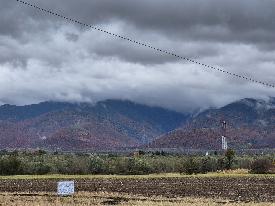 Vând teren Cartisoara