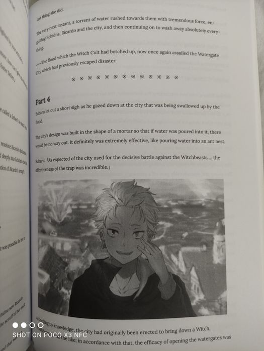 Re:zero if routes light novel