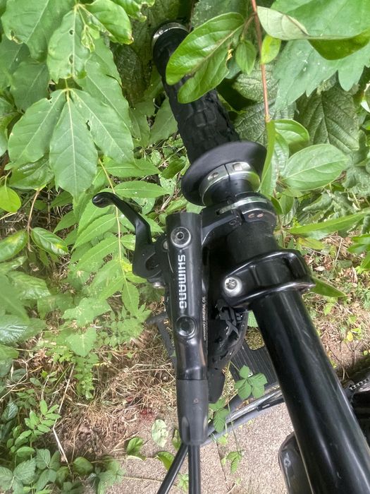 Giant Glory не trek scott saracen