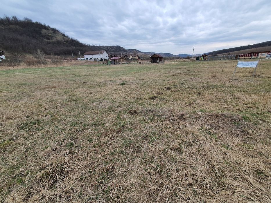 7,8 ari teren intravilan in Livezeni cu Pug aprobat