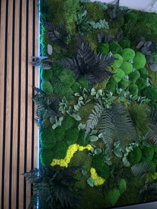 Panou plante stabilizate naturale