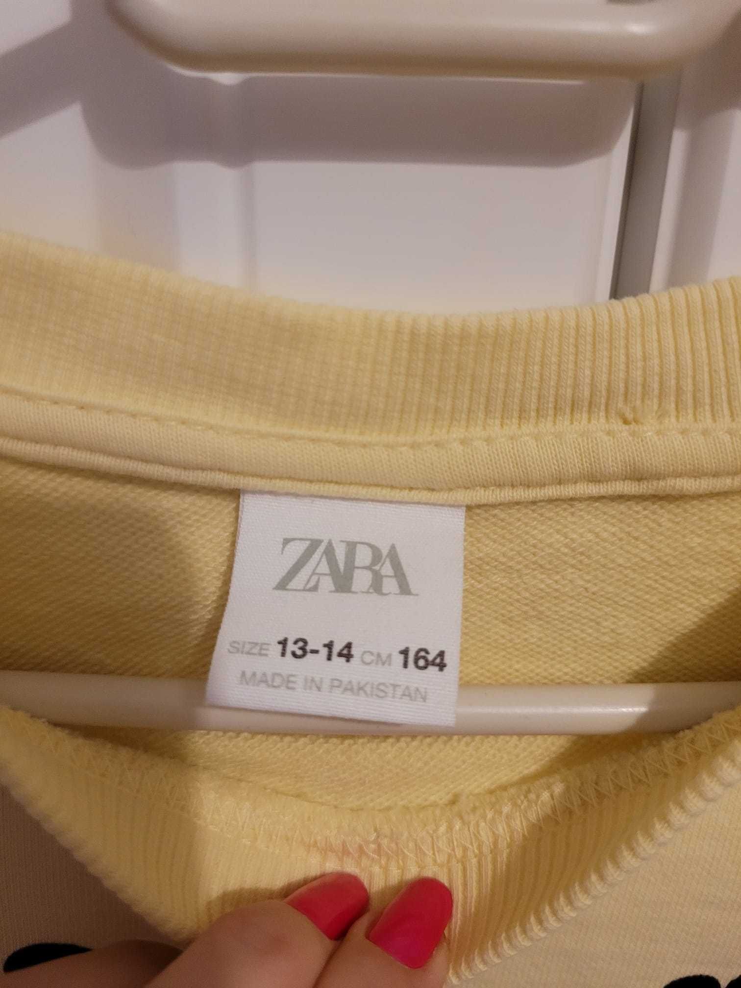 Pulovere/hanorace fetița Zara