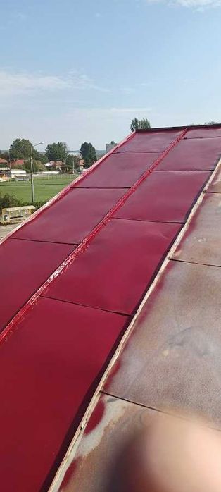 Vopsitor pe acoperis la casa, garduri, porti si alte suprafete