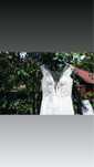 Rochie de mireasa Maya Fashion de vanzare