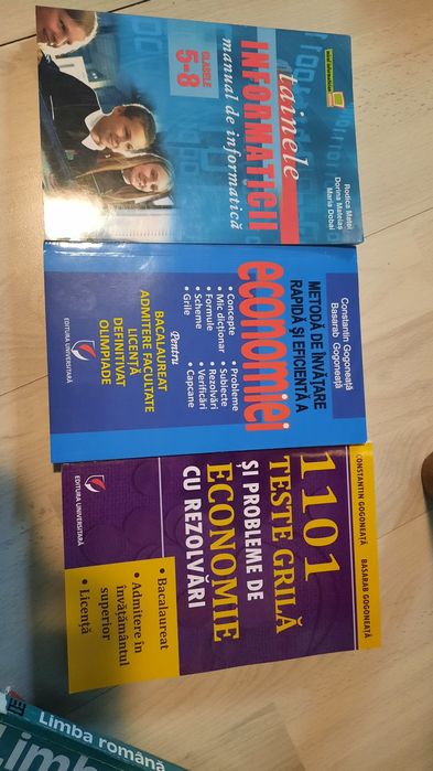 Carti economie+informatica
