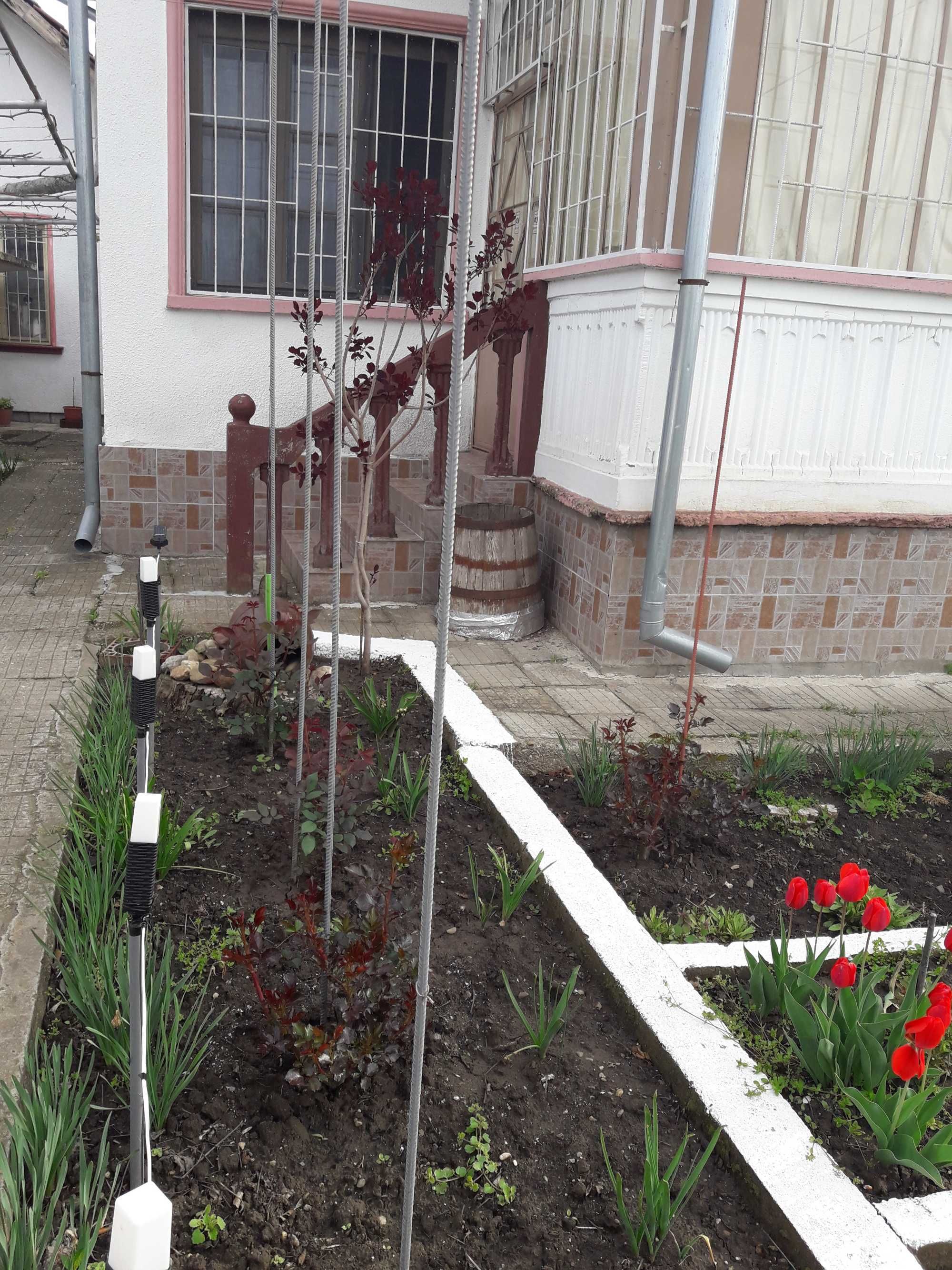 Чудесна къща в с.Бутан Врачанско