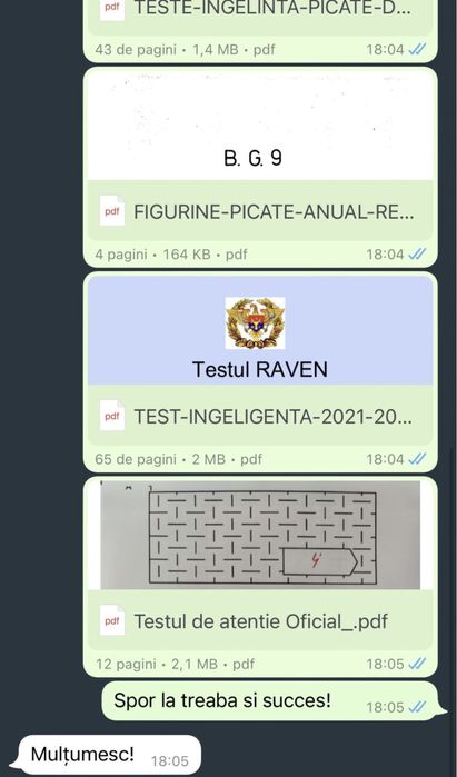 Teste psihologice MAI/MAPN/ANP/SGP