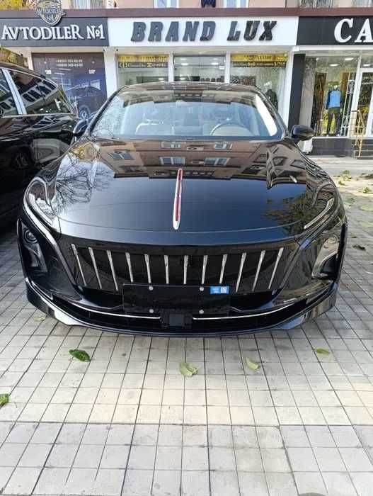Hongqie E-QM5 450