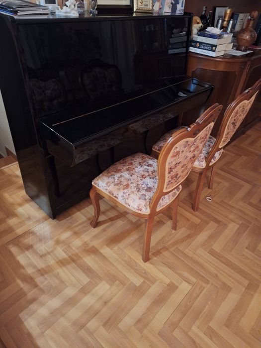 черно пиано Чайка