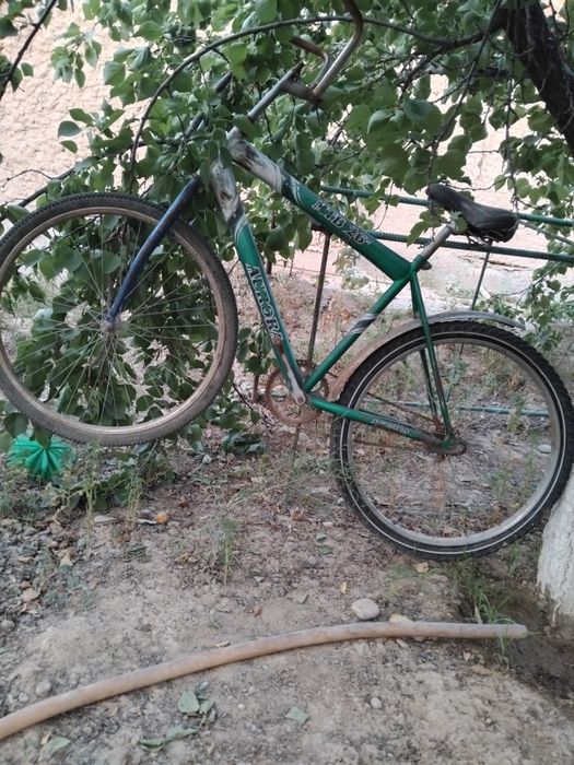 Велик велик велик велик