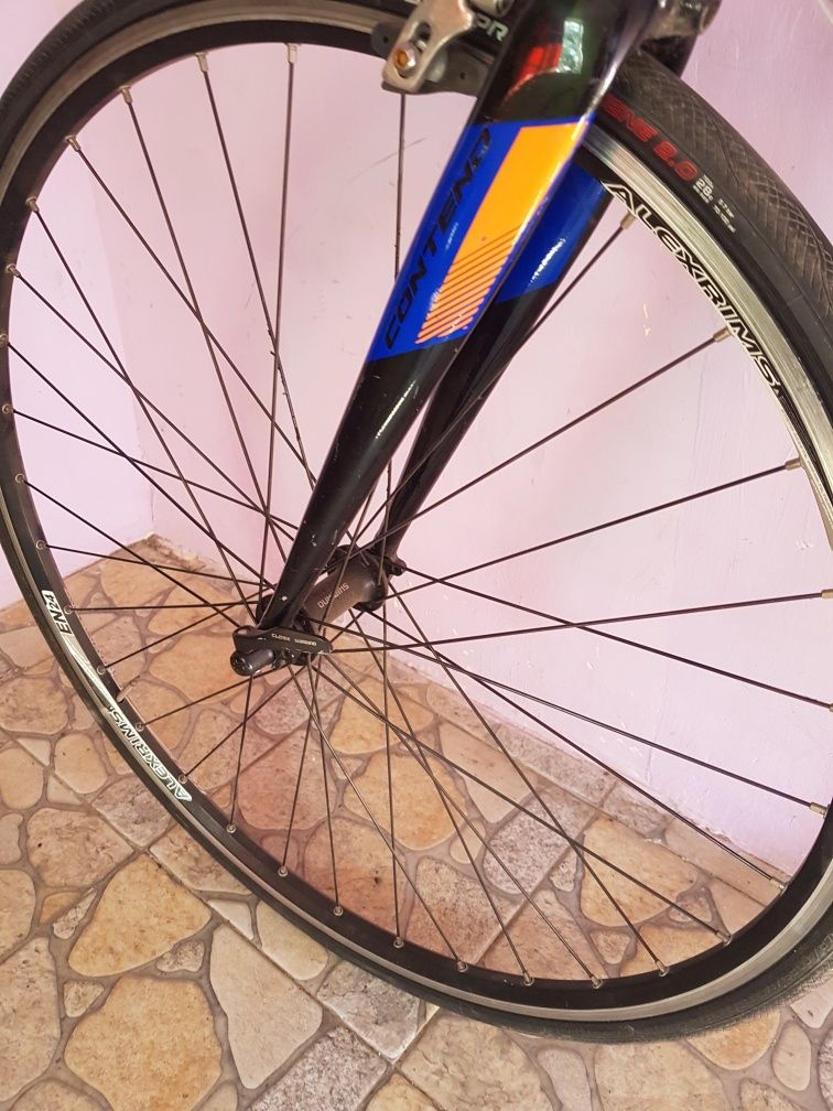 Cursiera Giant 2x11 speed