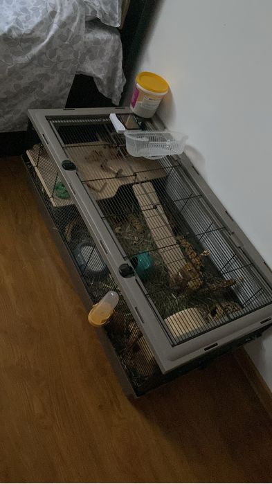 Cușcă hamsteri 100x54x39 si accesorii, hrana, nisip, labirint, roata
