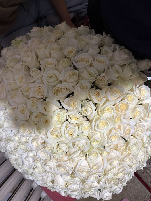 201 белые розы свежие только что взяли