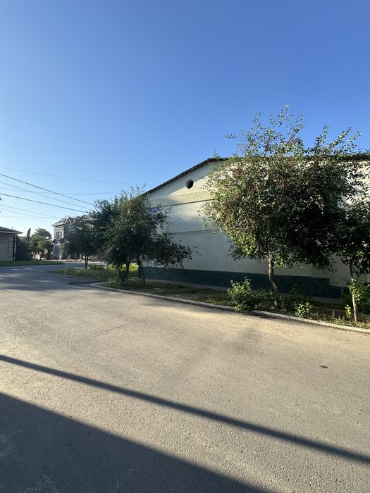 Shofayzda yo’li yuzida 3 sotu