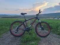 Mountain Bike Trek