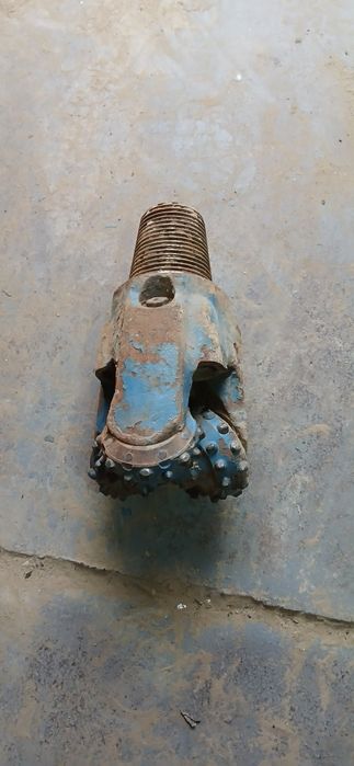 Долото боровое..