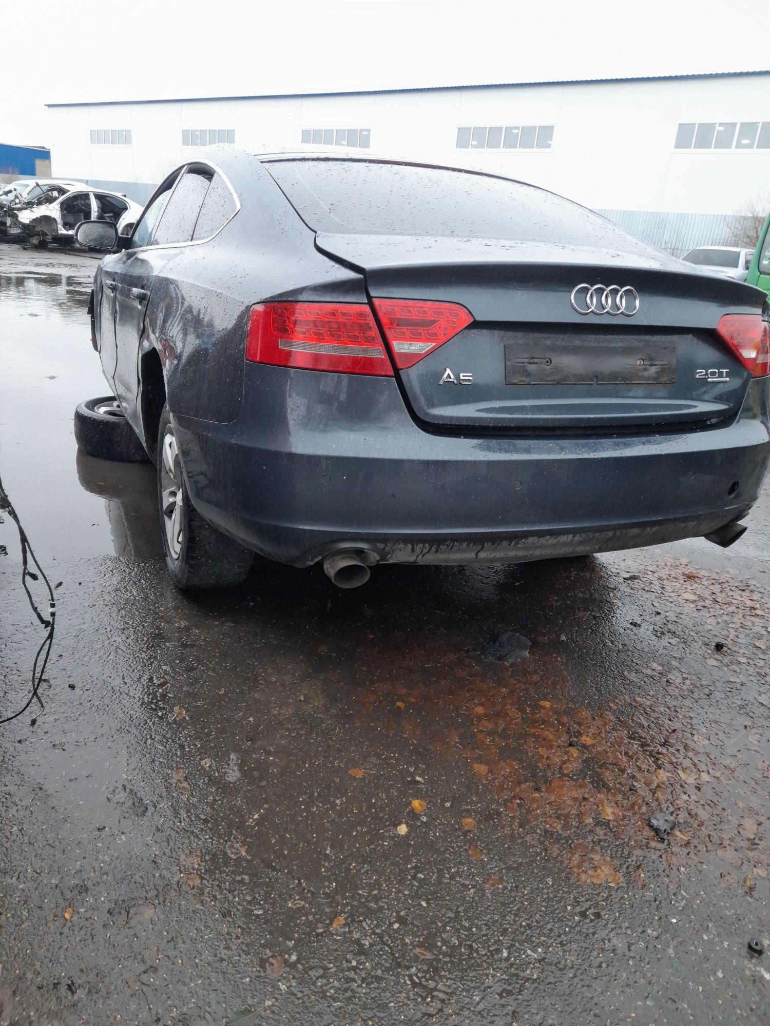 Audi A5 Год выпуска 2010(Ауди А5)