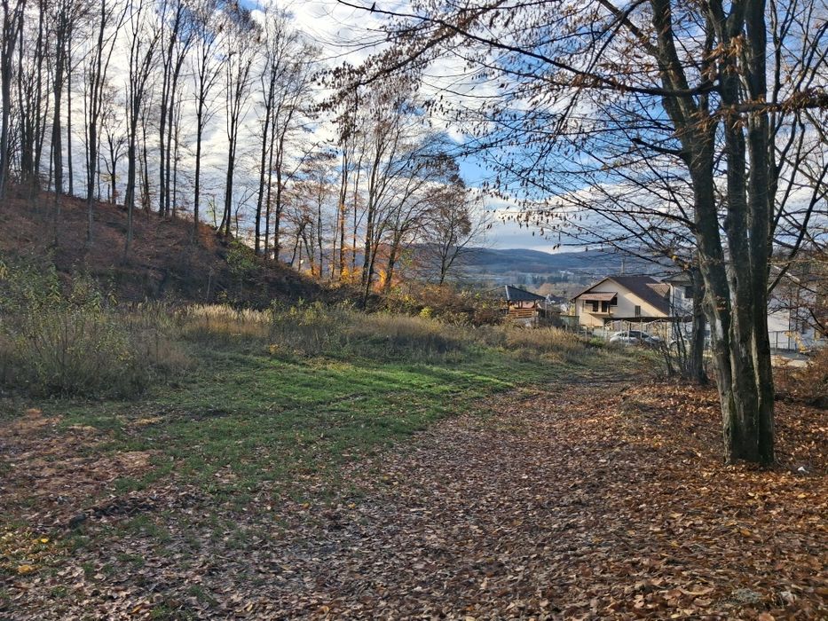 Teren intravilan 409 mp + 5000 mp pădure la intrare în Curtea de Argeș