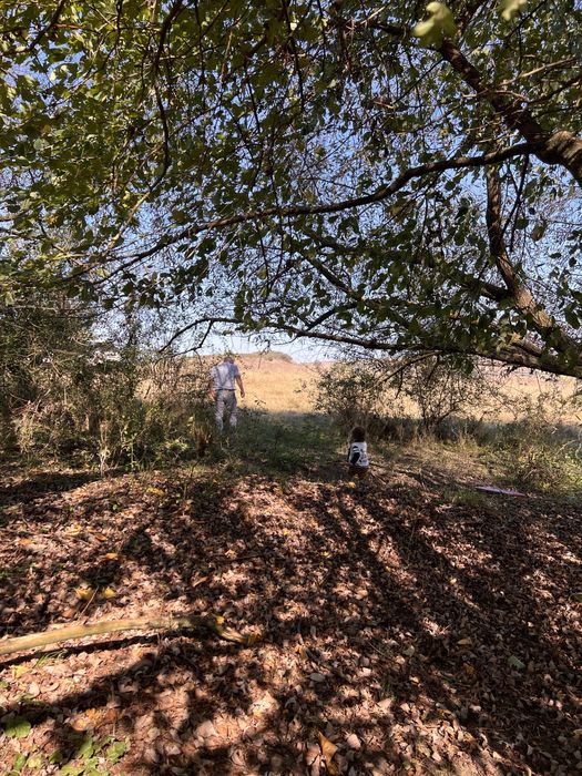 Teren de vanzare la 7 km de Cj, com. Baciu, sat Corușu