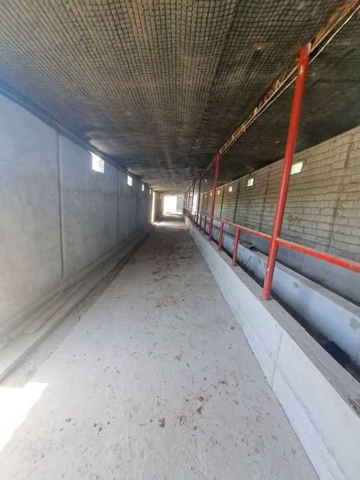 20 sotix xovli + ferma