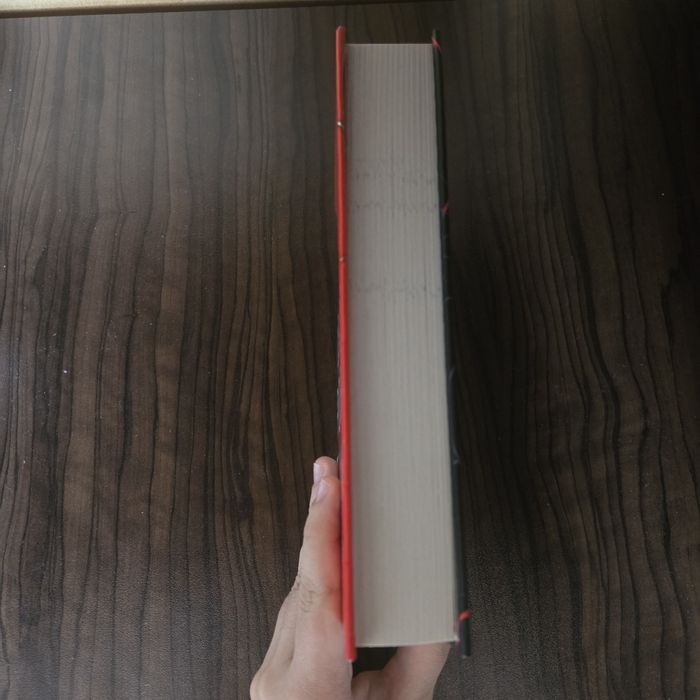 книга двор от рози и бодли