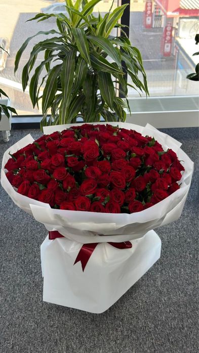 101 роза свежие очень красивые