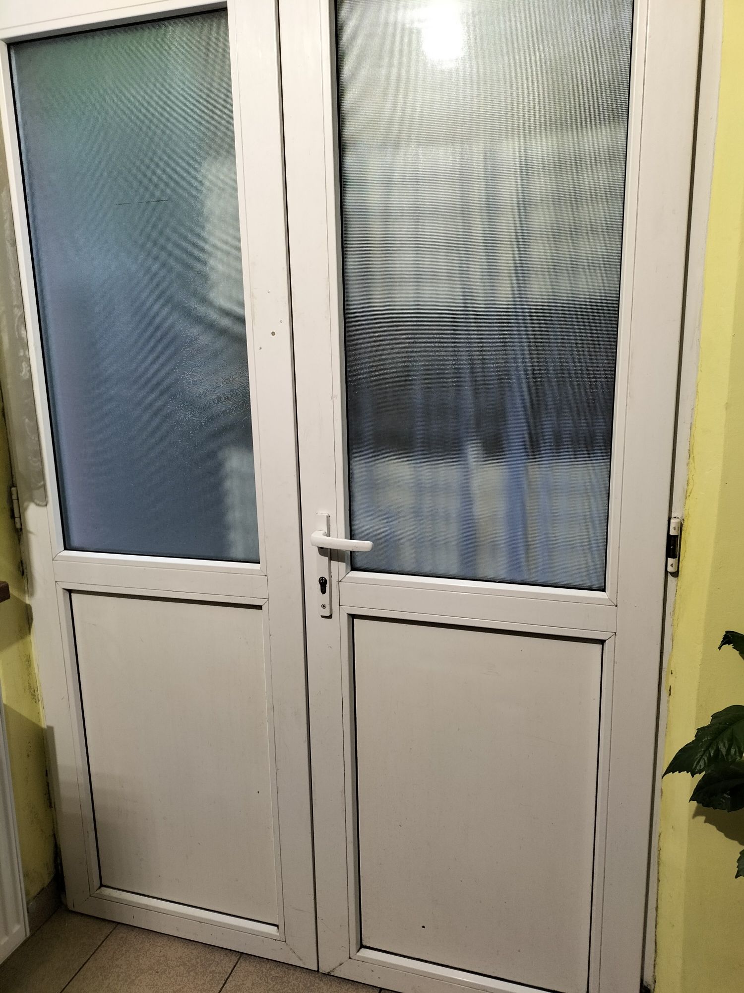 Ușa termopan intrare.