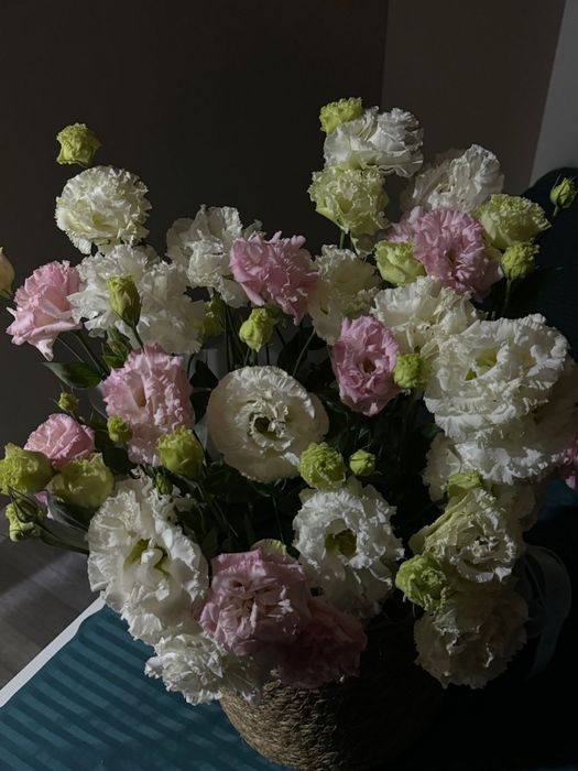 Цветошки сегодняшние……