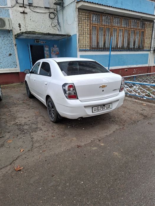 Cobalt миднайт 2025