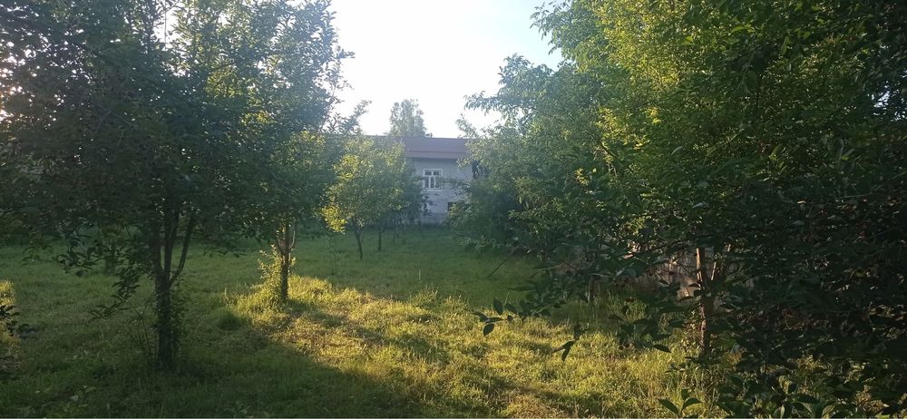 Yangiyolda hovli sotiladi 20 sotix